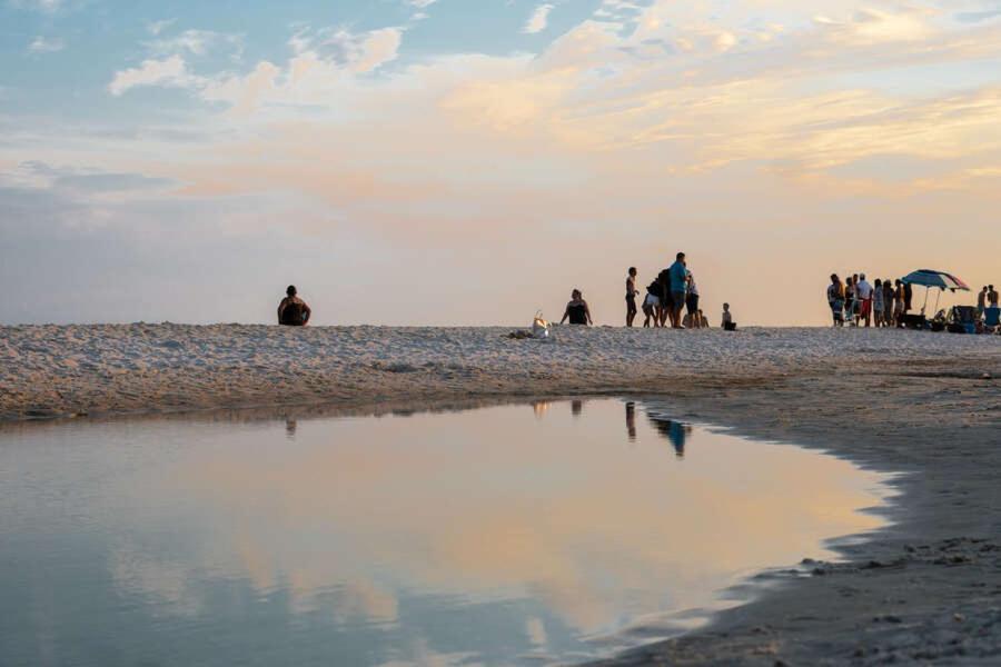 Budget Friendly Condo Within Walking Distance To The Beach! Gulf Shores Exteriér fotografie