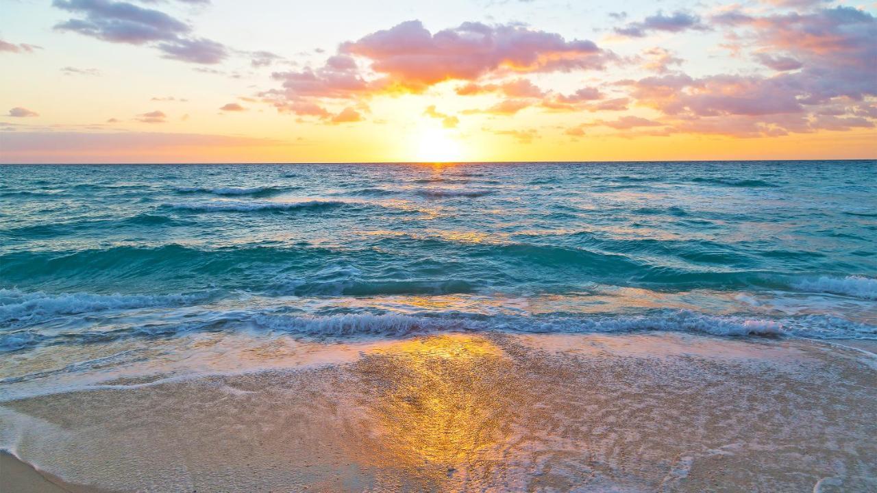Budget Friendly Condo Within Walking Distance To The Beach! Gulf Shores Exteriér fotografie